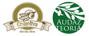 CruzOliva AudazTeoria Logo